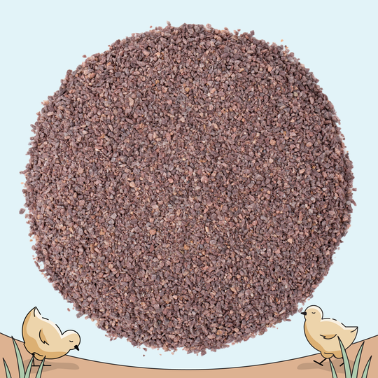 Starter Feed Kit | 8 Weeks of Organic Feed & Grit for 10 Chicks