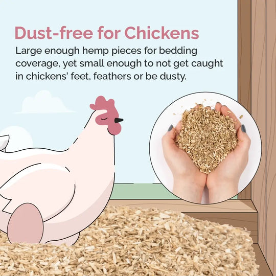 Hemp Bedding for Chicken Coops