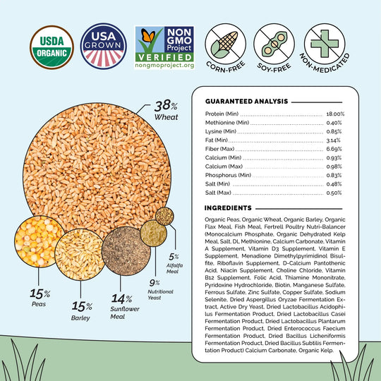 Grower Feed Kit | 12 Weeks of Organic Feed & Grit for 10 Pullets