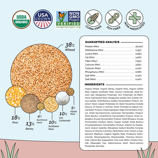 Layer Organic Chicken Feed