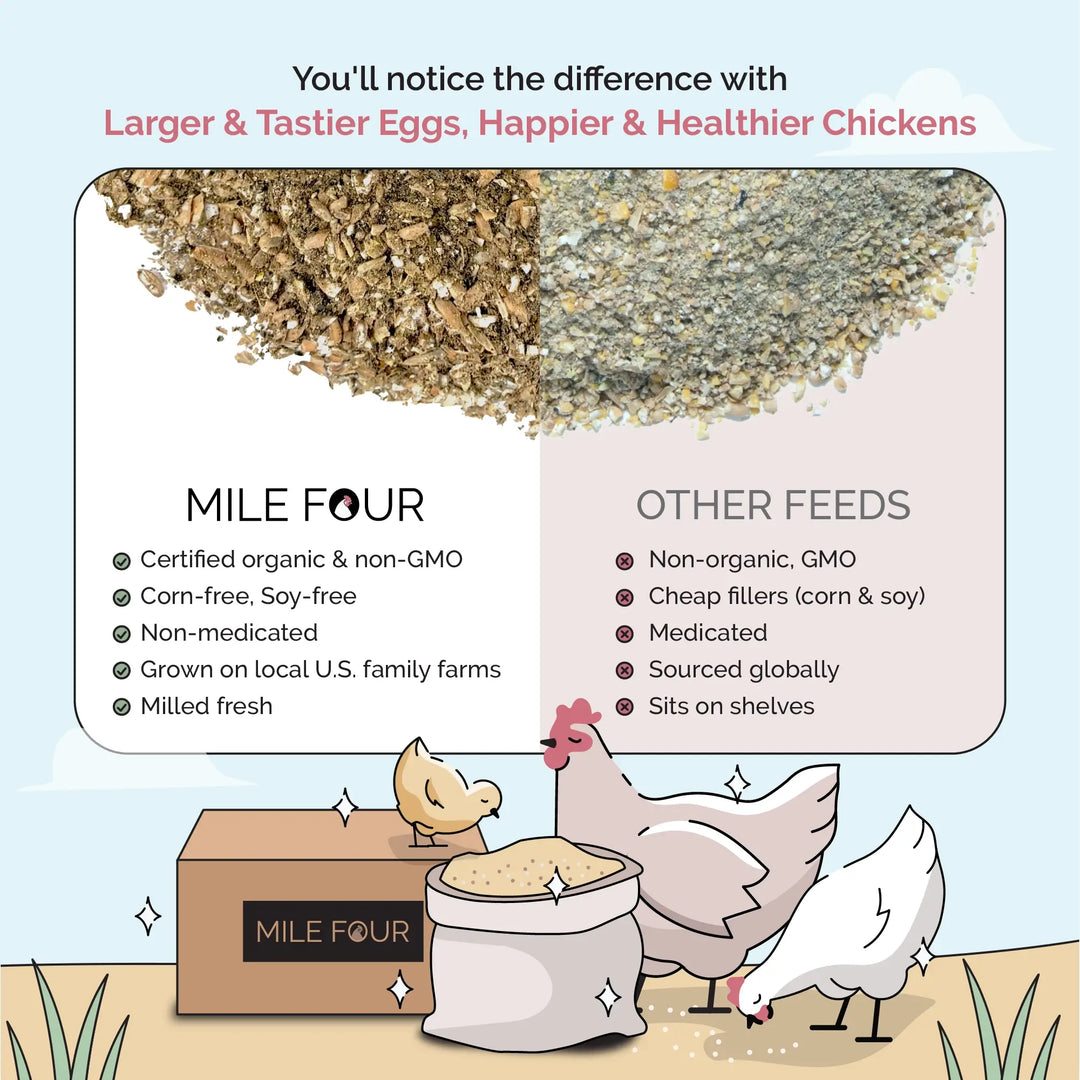 Starter Organic Chicken Feed