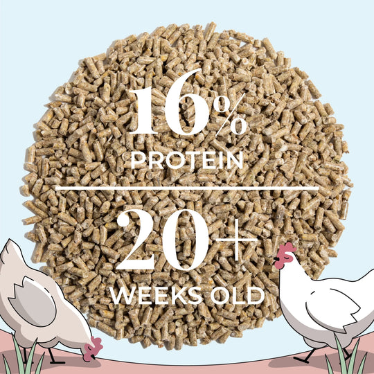 Big Flock Bundle | 2 Months of Organic Feed, Grit & Oyster Shell for 20 Layer Hens