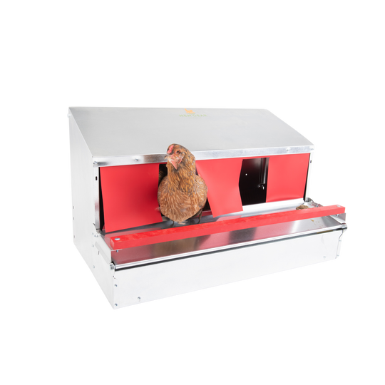 Medium (34") Reversible Roll-out Nest Box (Up to 32 Hens)