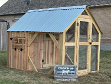 The Mini 6x8' Traditional Style Chicken Coop